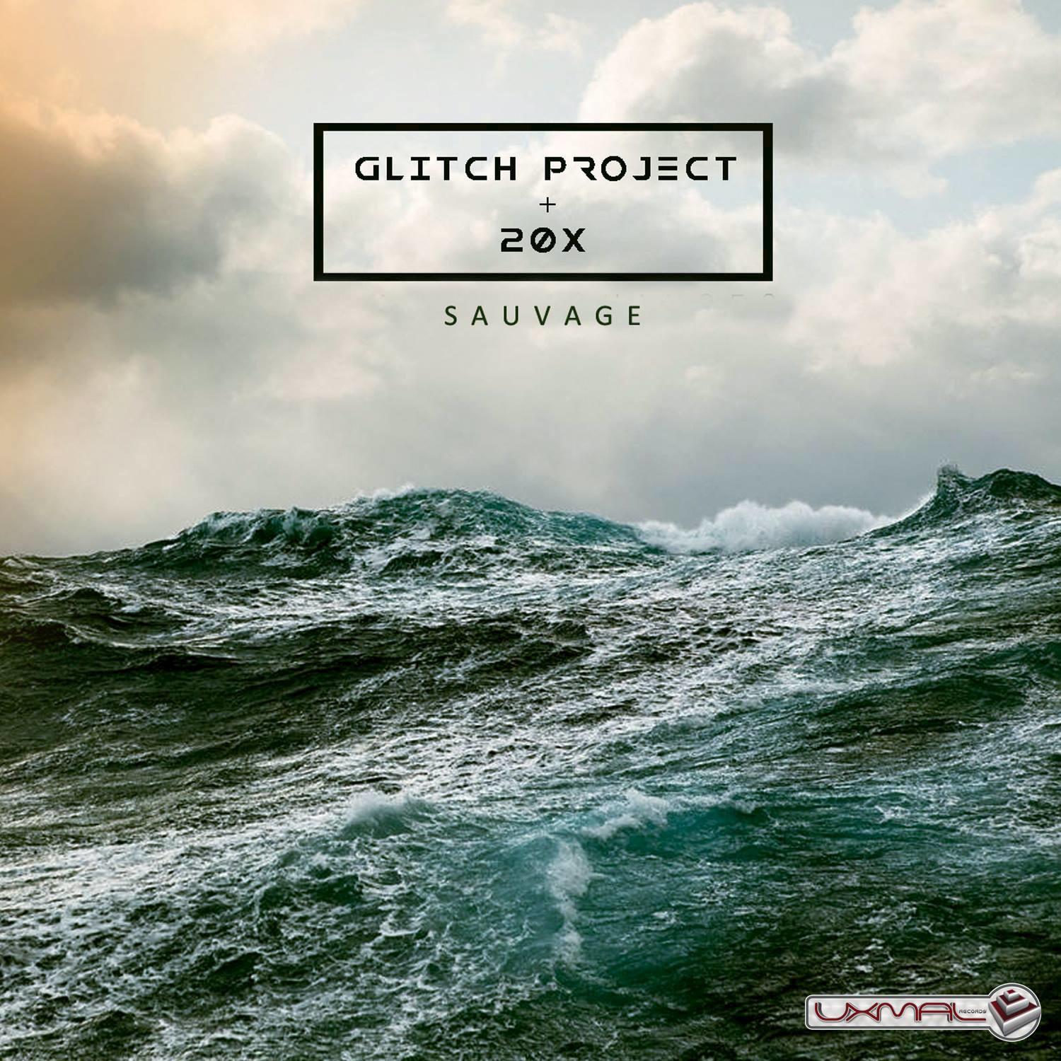 Glitch Project - Sauvage