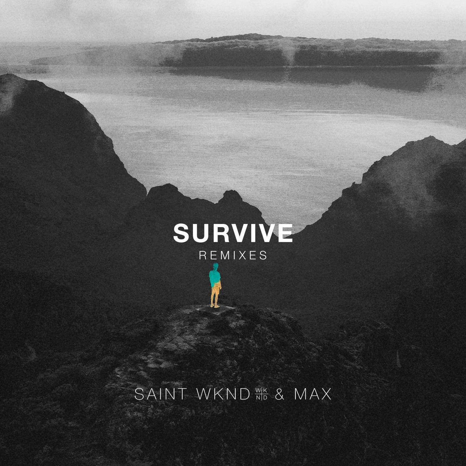 Survive (Remixes)专辑