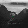 Survive (Remixes)