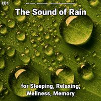 Asmr Rain Sounds And Piano For Babies - Feat. Para Dormir (piano Instrumental)