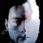 In The Silence (Bonus Edition)专辑