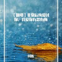 寂悸、蒋蕙林 - 非常后悔爱过你 (付栋和声版伴奏带)