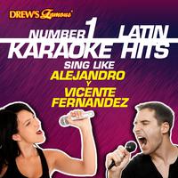 原版伴奏   Vicente Fernandez - Bohemio De Aficion (karaoke)