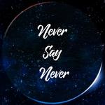 Never Say Never专辑