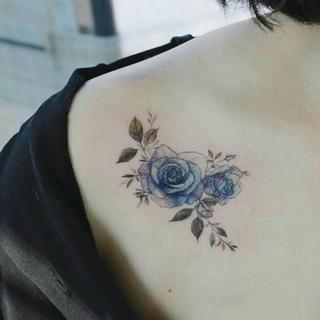 云村藏有颜如玉，冷电正需寻宝人。Ⅰ