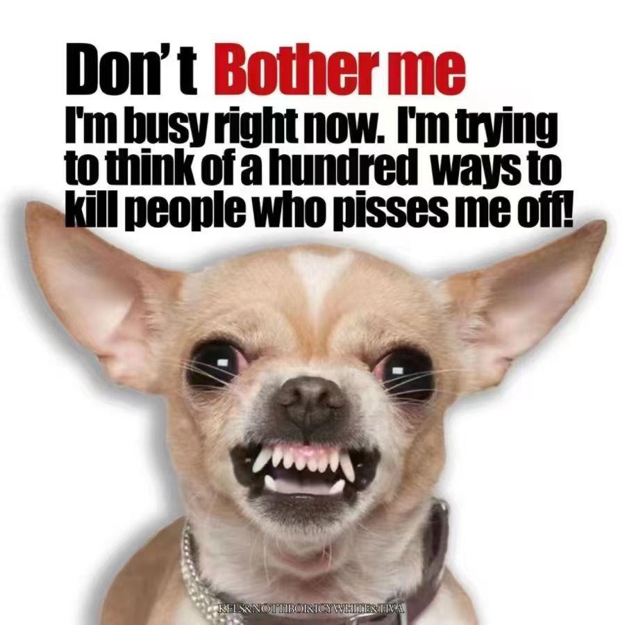 Bother Me