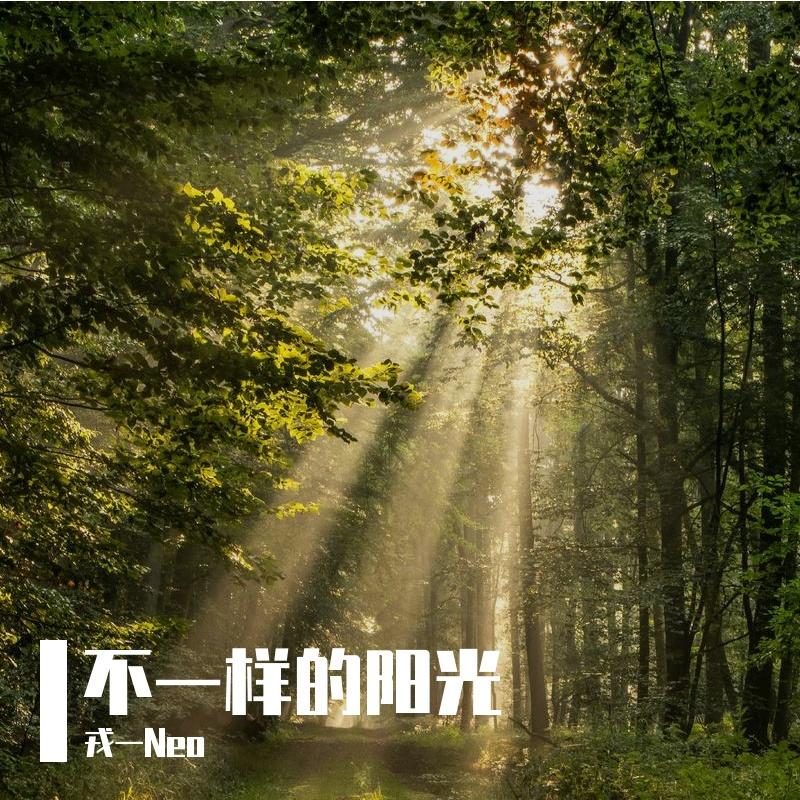 不一样的阳光