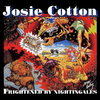 Josie Cotton - The Santa Barbara Affair