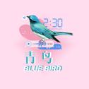 青鸟(Bluebird)专辑