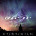 Moonlight (feat. Storyboards & Ulchero) [Rant Marson Zander Remix]