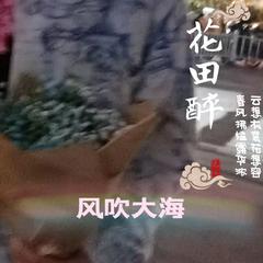 花和尚鲁智深-苏小宝（腾）（翻自 苏小宝（腾））