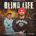 Blind Life