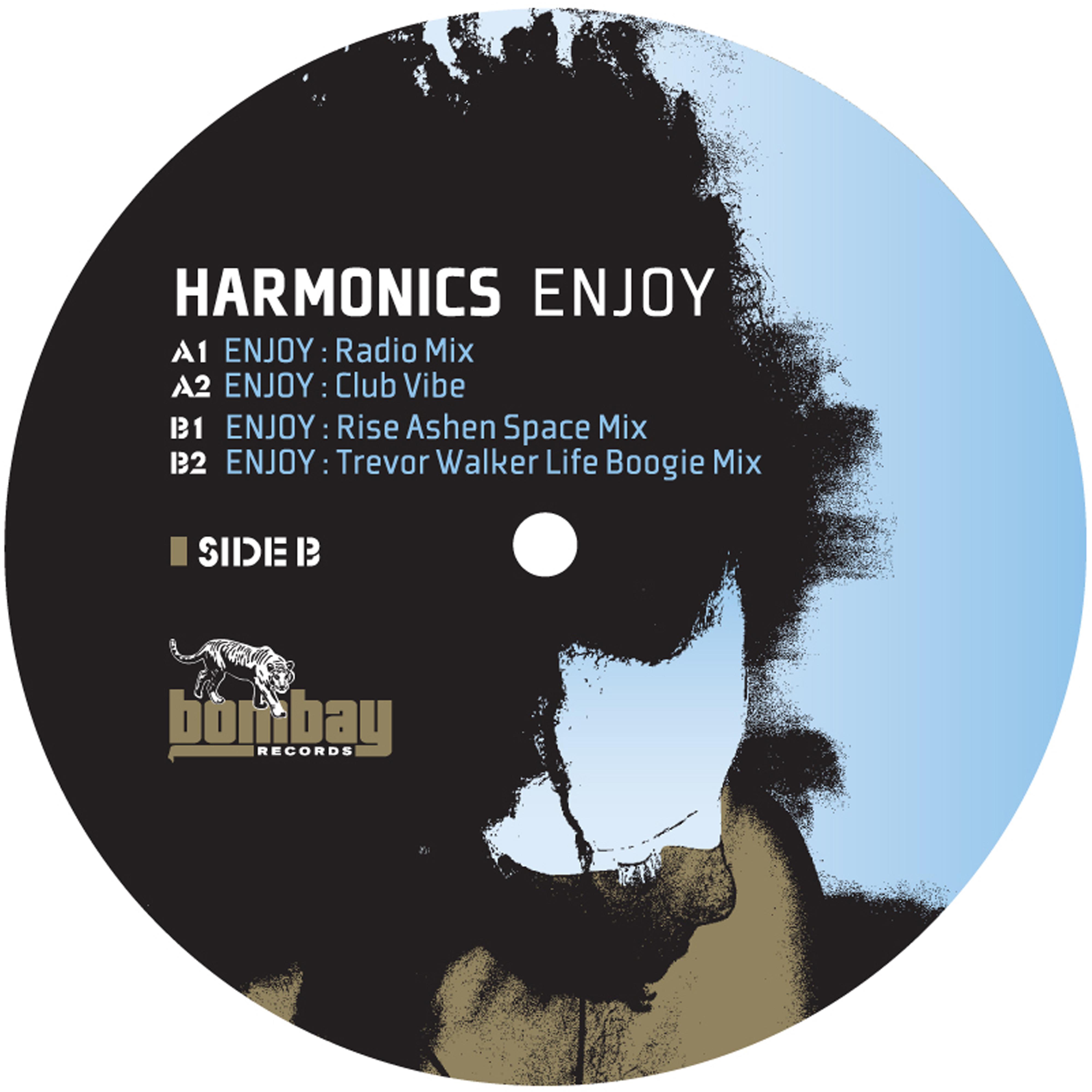 Harmonics - Enjoy (Trevor Walker Life Boogie Mix)