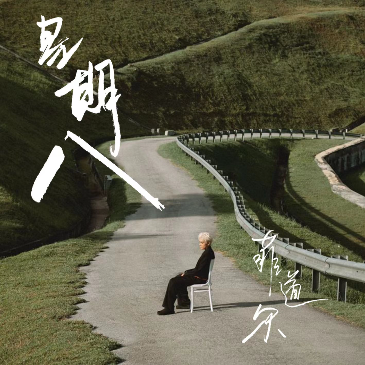 菲道尔歌曲封面