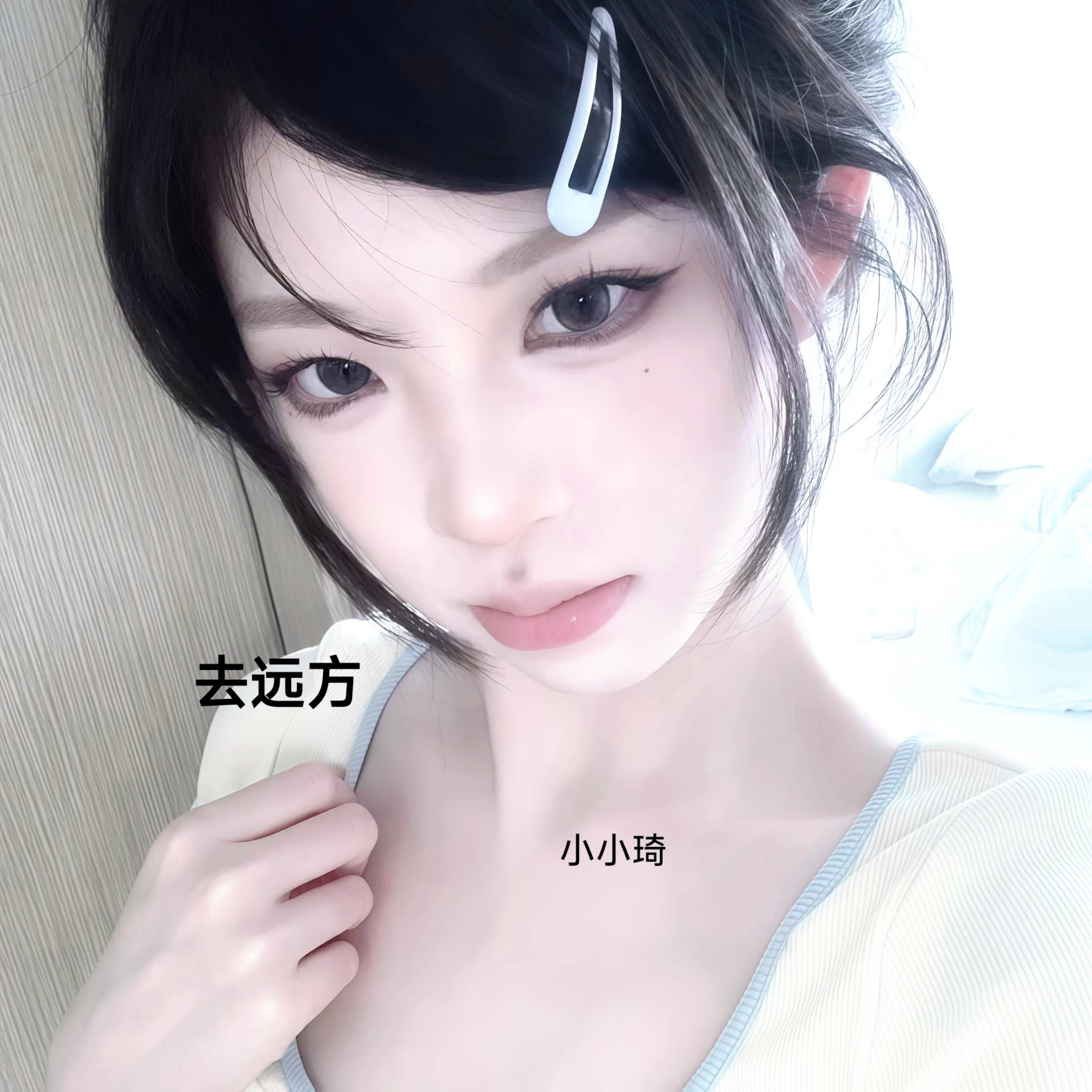 去远方 (DJ小琦版)