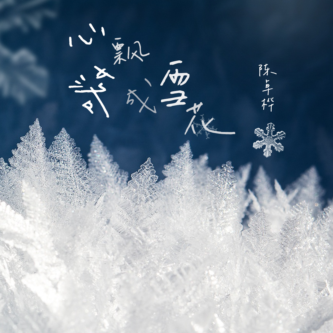 心飘落成雪花专辑