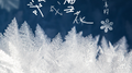 心飘落成雪花专辑