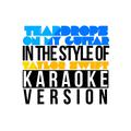Teardrops on My Guitar (In the Style of Taylor Swift) [Karaoke Version] - Single
