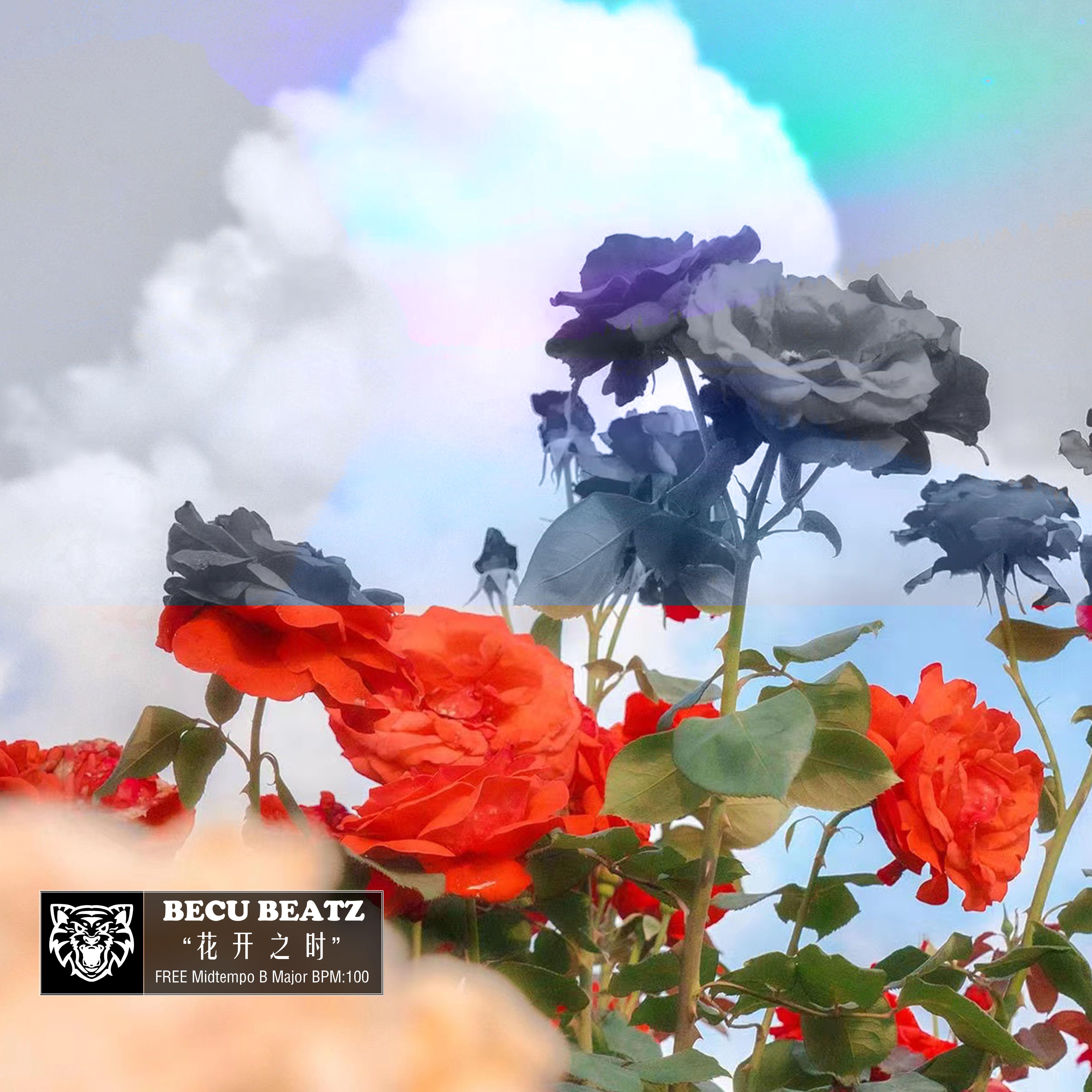 【FREE】