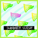 Summer Wish（GNZ48卢静应援曲）专辑