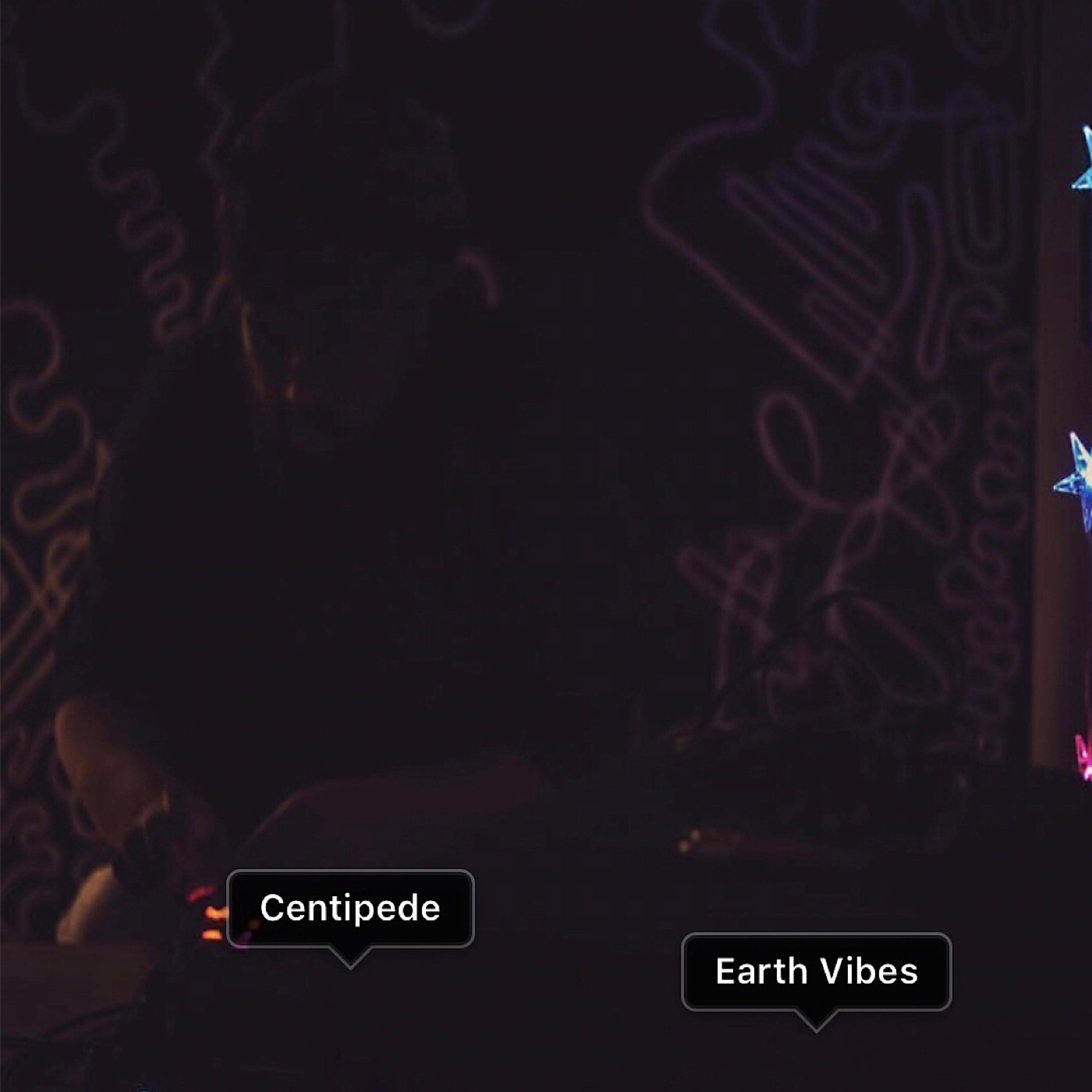 Earth Vibes