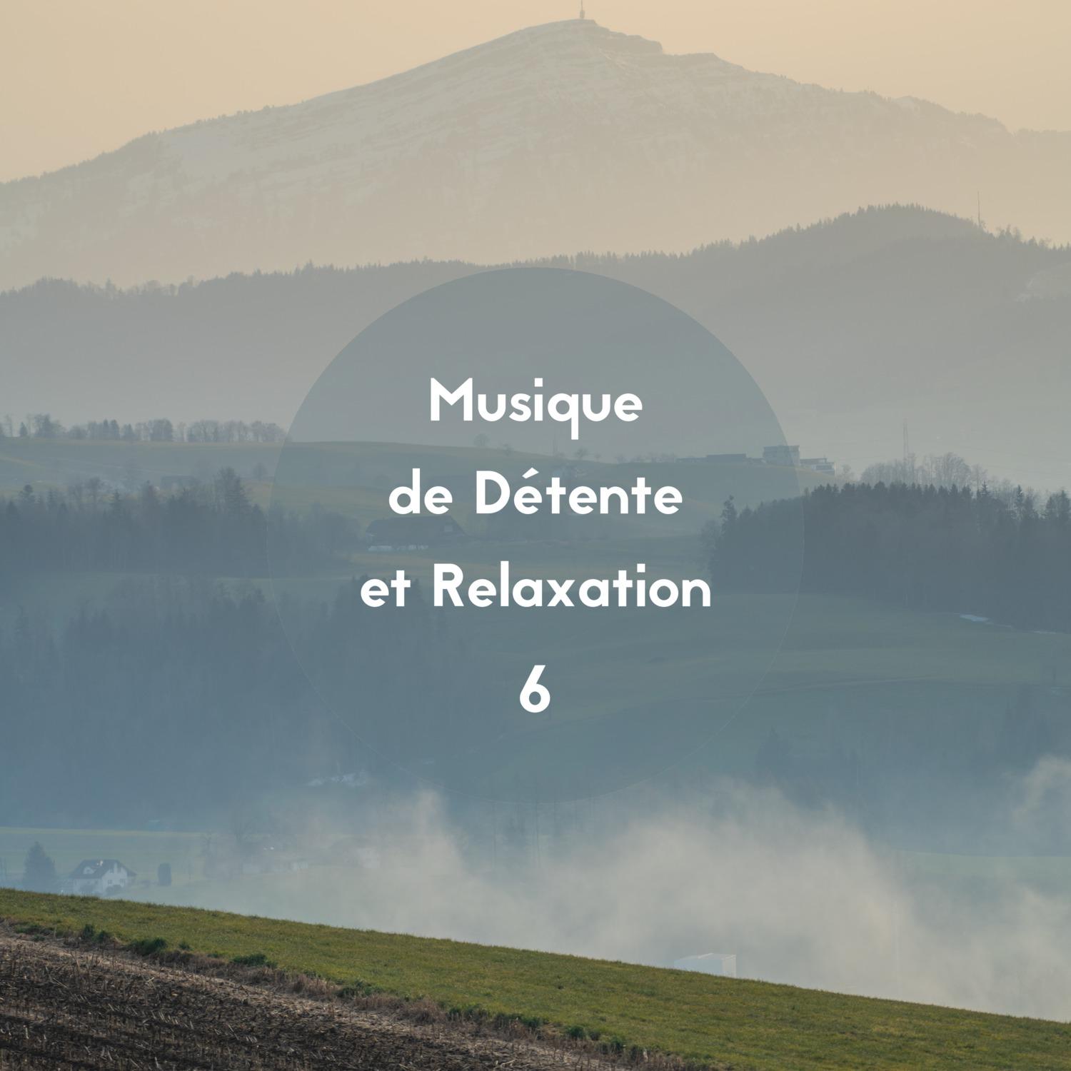 Musique de détente et relaxation, Vol. 6