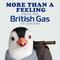 More Than a Feeling (From the British Gas T.V. Advert)专辑