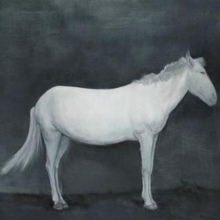 一单听遍所有纯音乐【持续更新中】