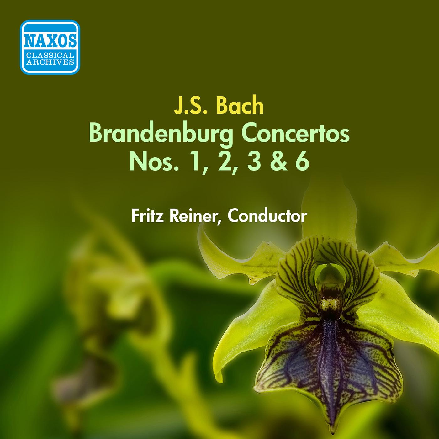 BACH, J.S.: Brandenburg Concertos Nos. 1-3, 6 (Reiner) (1949)专辑