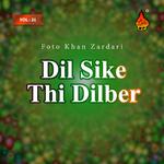 Dil Sike Thi Dilber, Vol. 21专辑