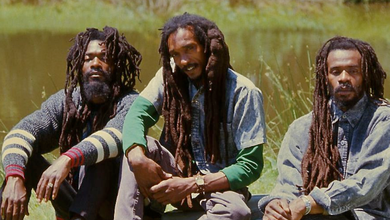 Israel Vibration