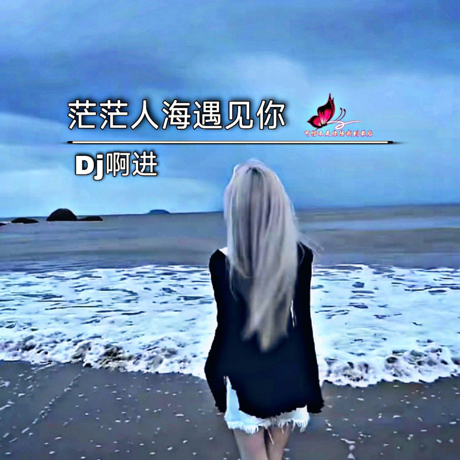 DJ啊进歌曲封面