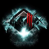 Skrillex - First Of The Year Equinox