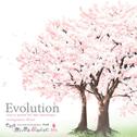 それは舞い散る桜のように 完全版 アレンジアルバム「evolution」专辑