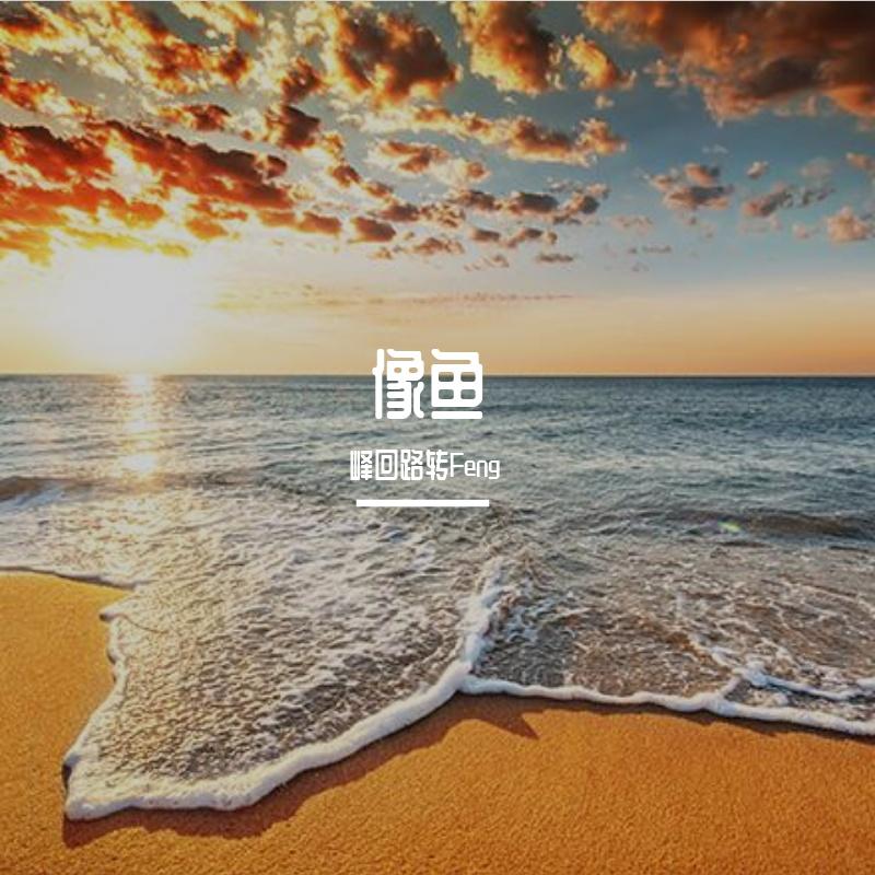 峰回路转Feng歌曲封面