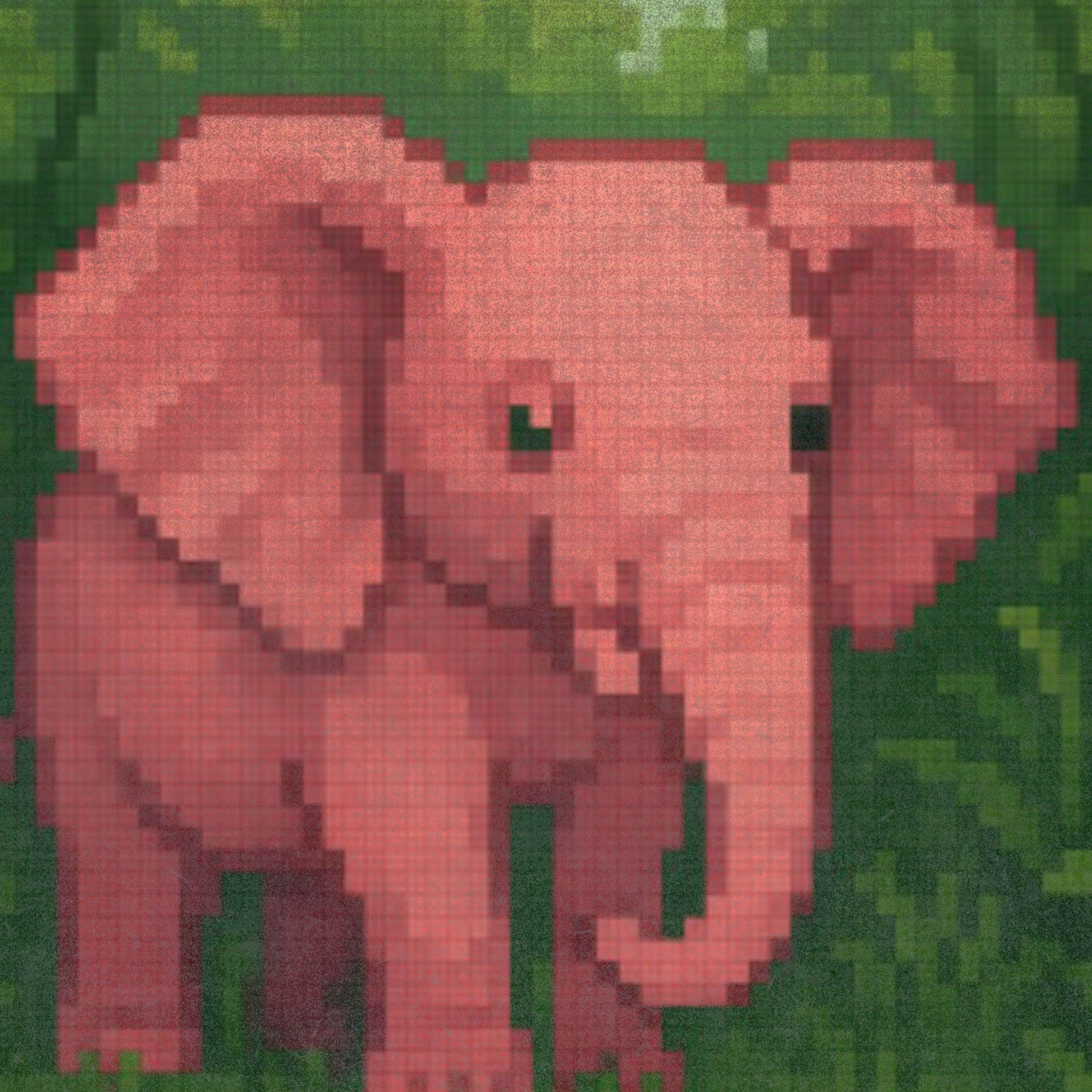 Pink Elephan