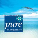 Pure Tranquility专辑