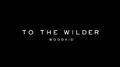 To the wilder (from "DEATH STRANDING 2 : ON THE BEACH" Soundtrack)专辑