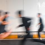 青鹿乐队