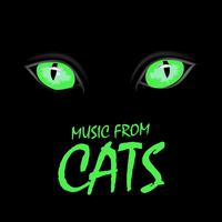 Cats - Memory ( Karaoke 3 )