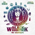 Black Woodstock: The Soundtrack专辑
