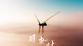 风来时专辑