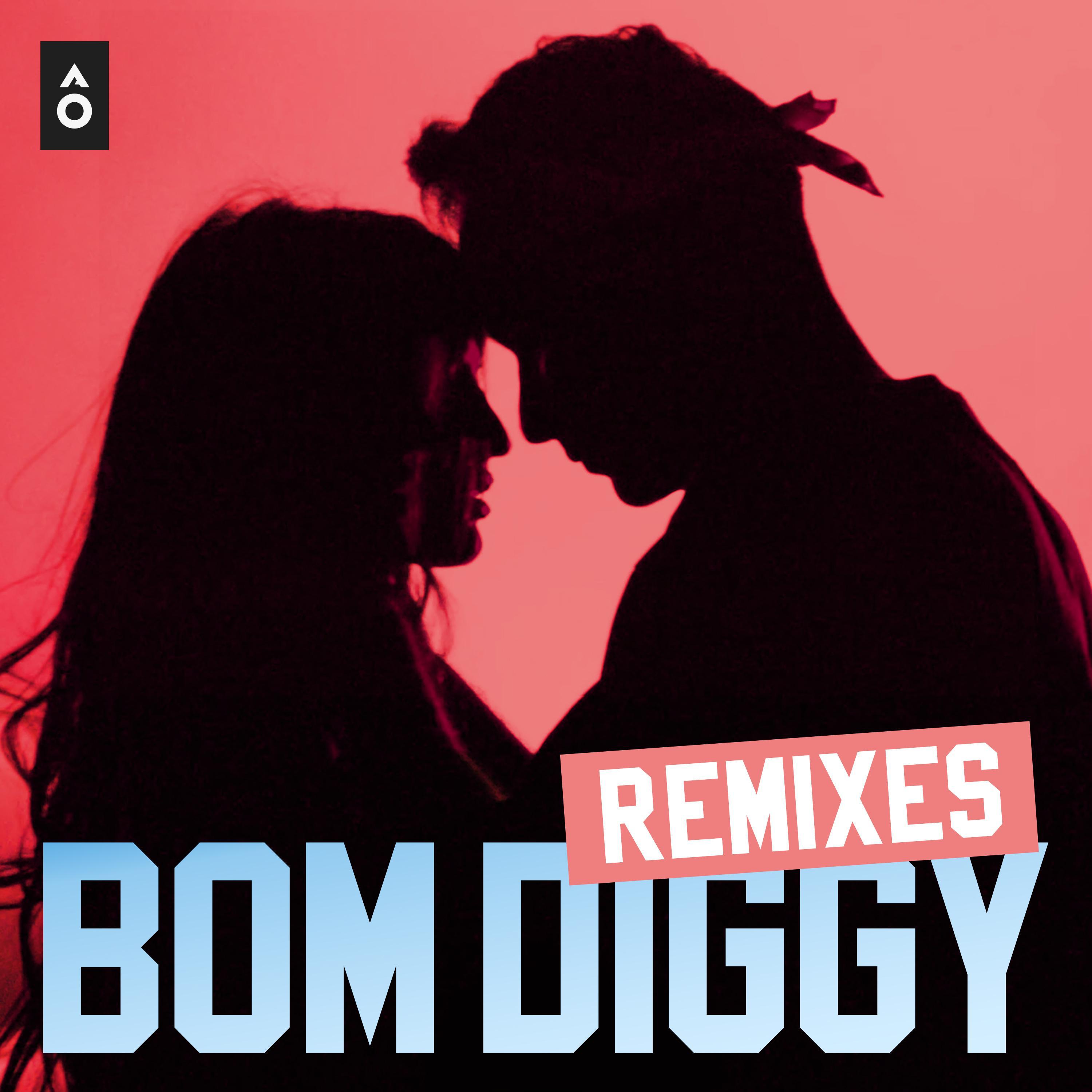 Bom Diggy (Remixes)专辑