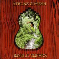 原版伴奏   El Jaguar - Strunz & Farah (instrumental) [无和声]