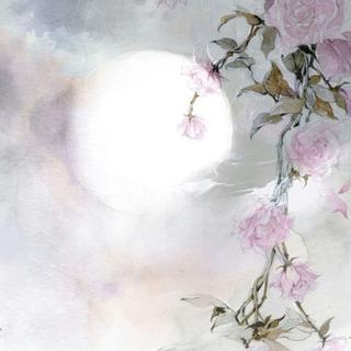 风，花，雪，月