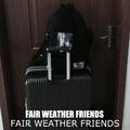 Fair Weather Friends