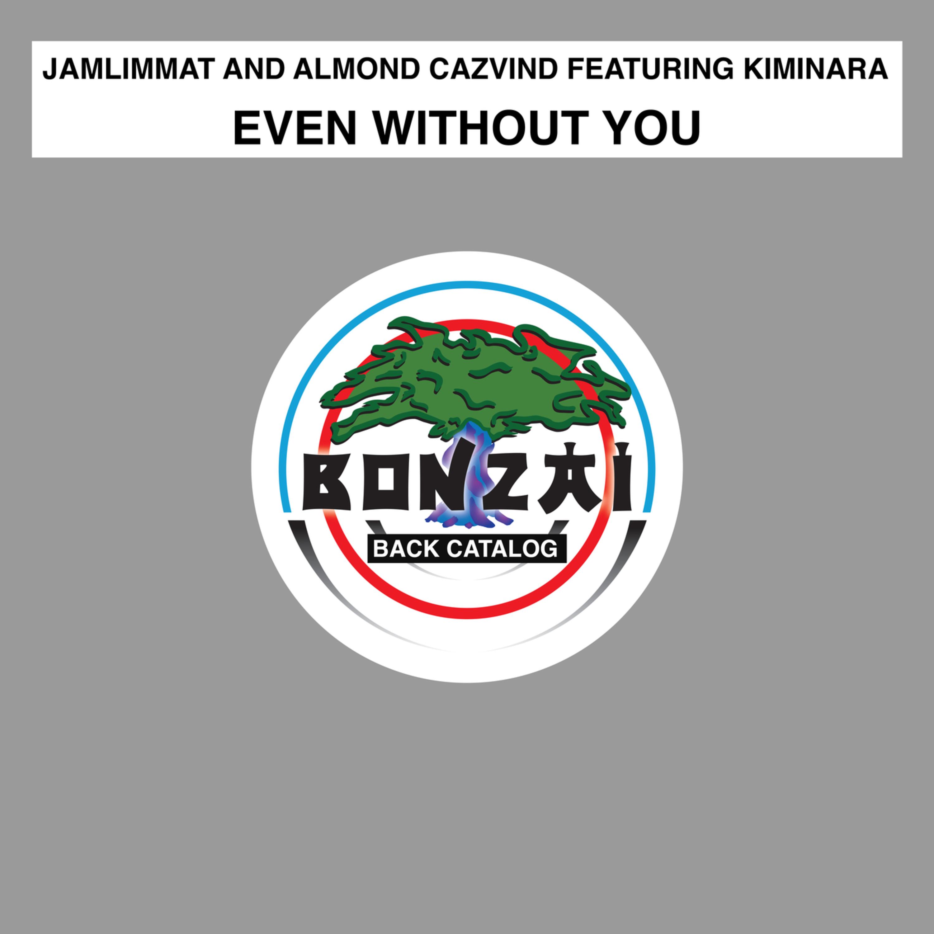 Even Without You ( feat. Kiminara)