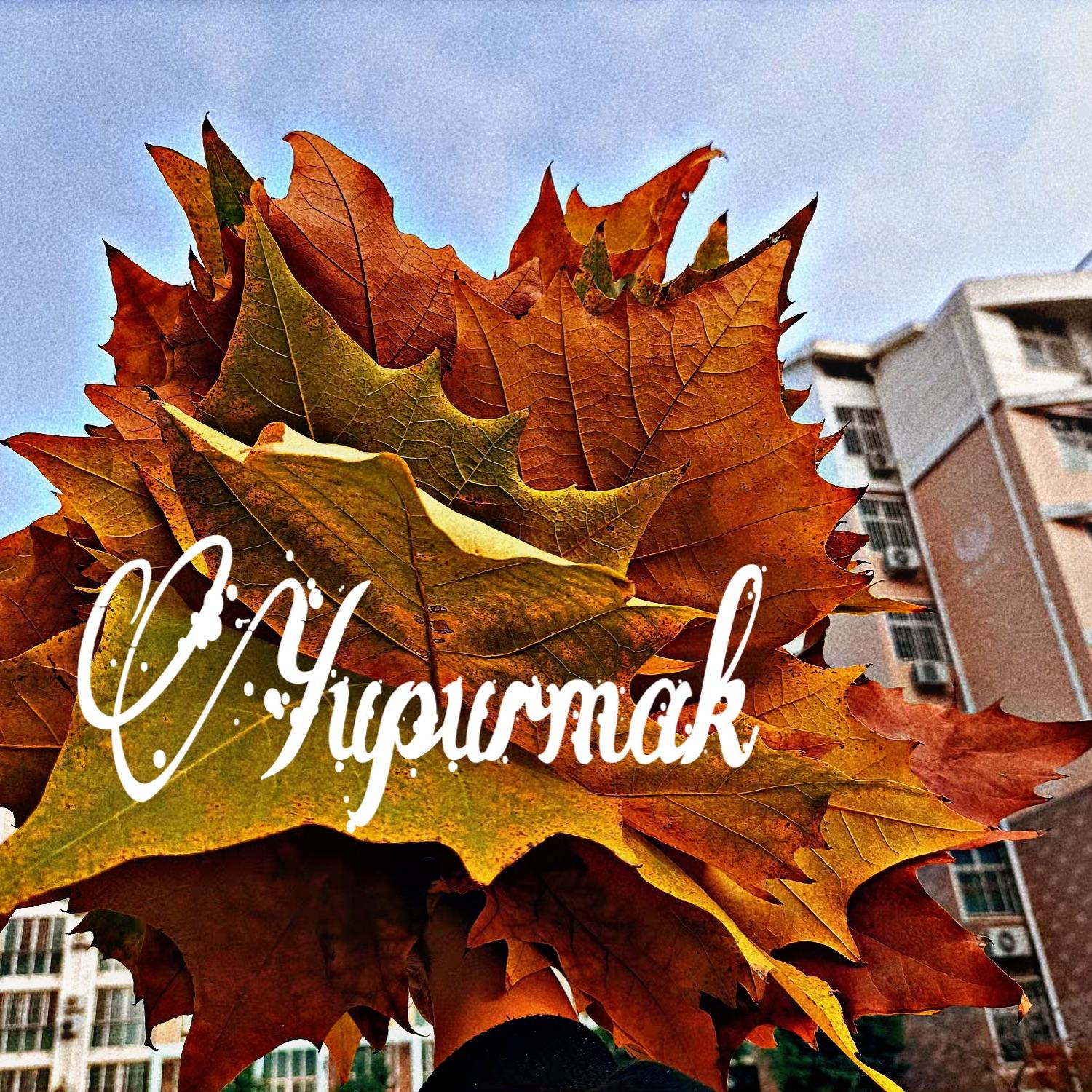 Yopurmak《叶子》 原创