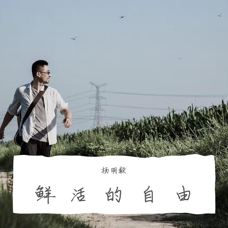 鲜活的自由