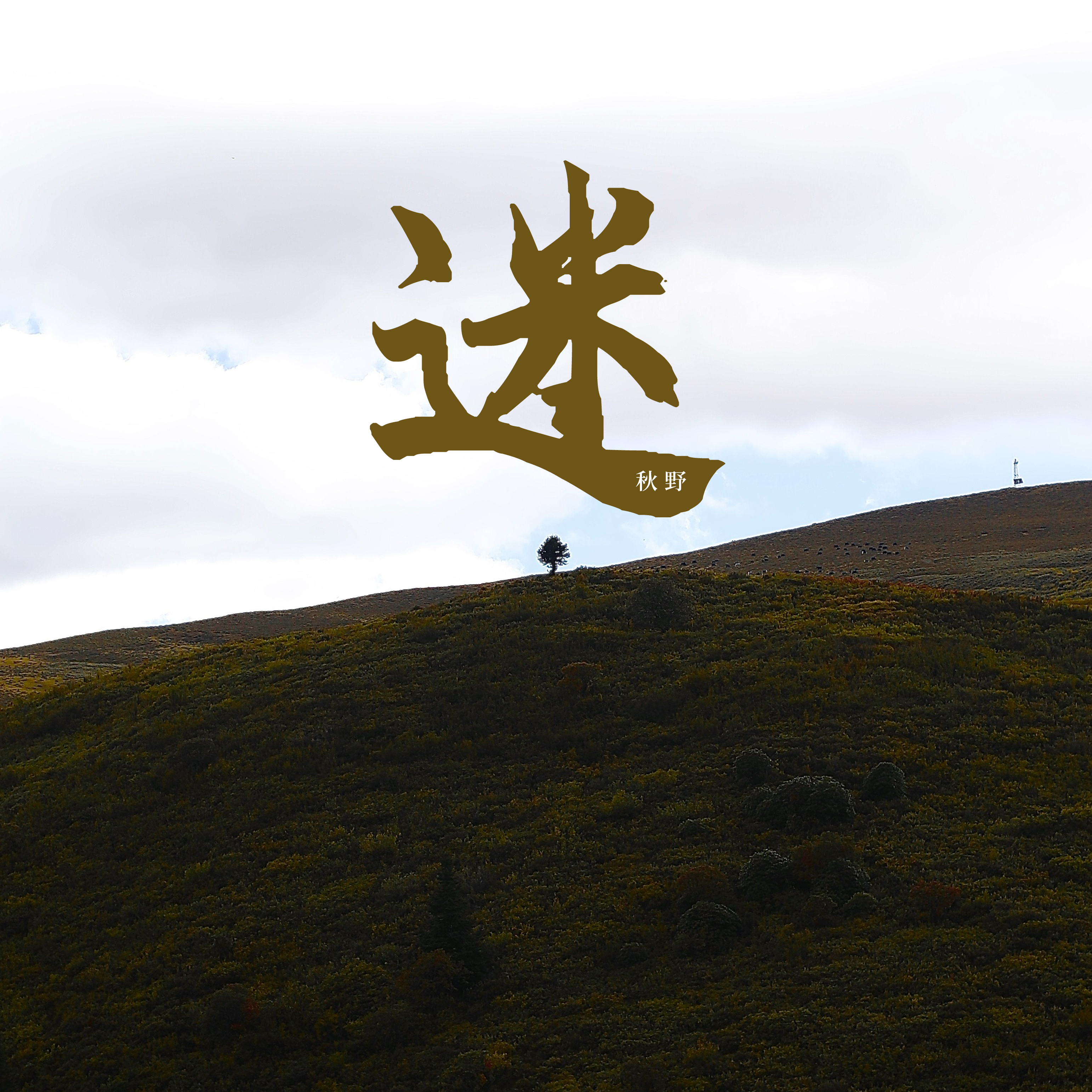 迷